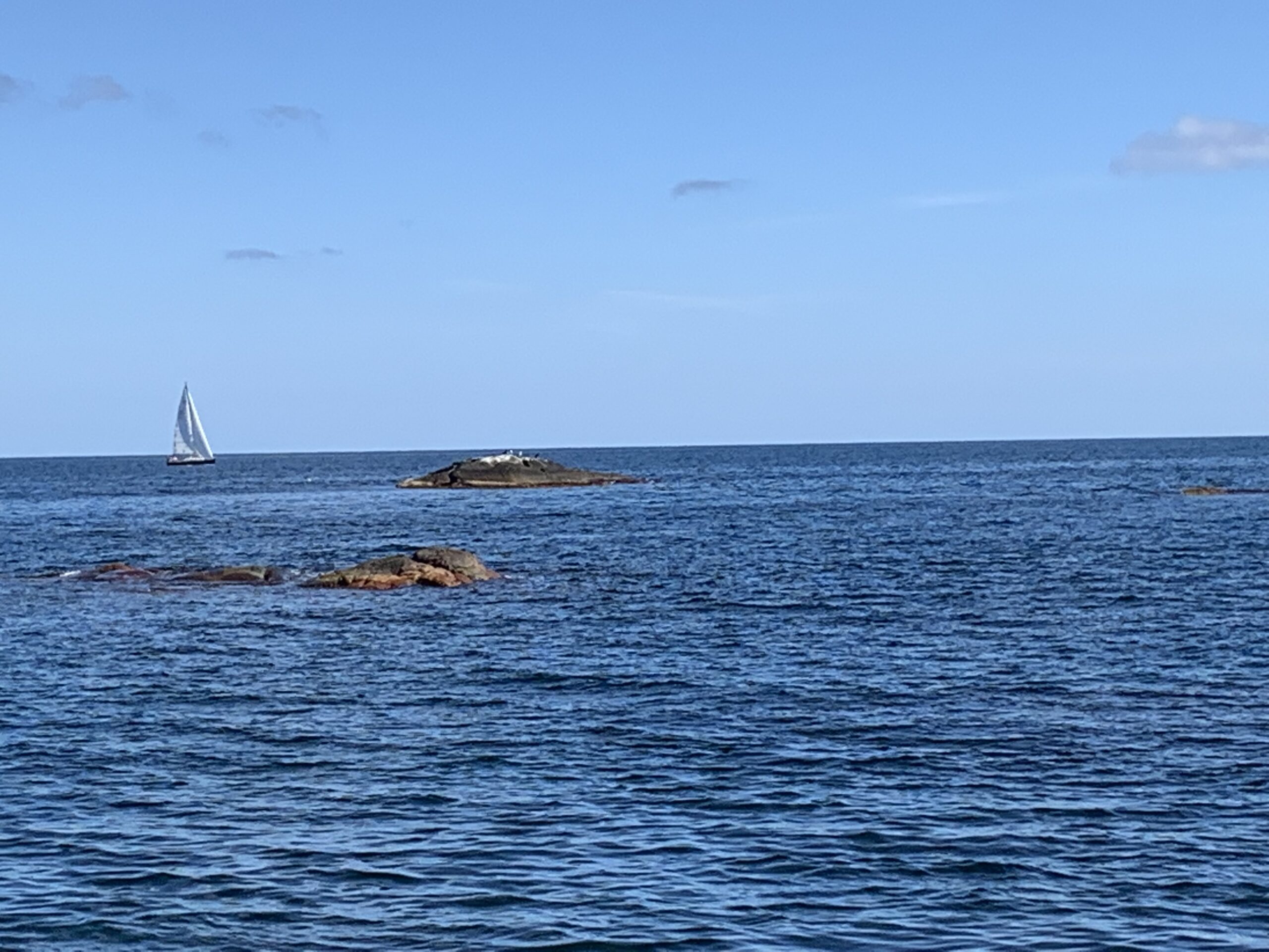 Regattainfo – OBS med endring av terminlisten