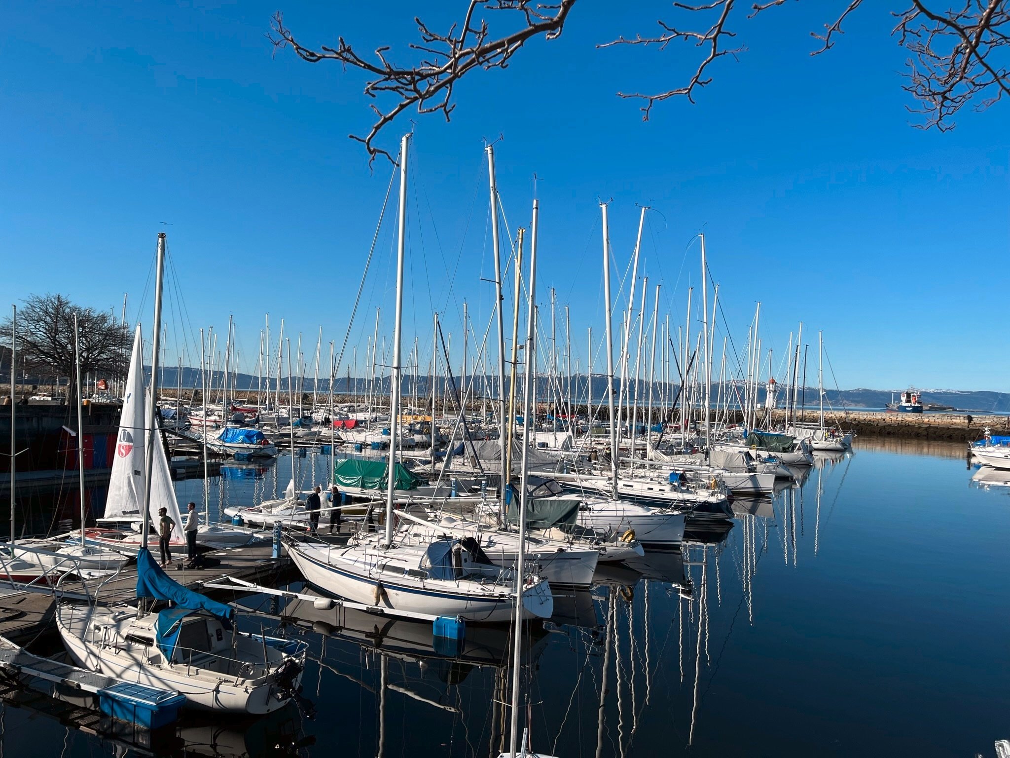Aksjonær i TSF Havn AS